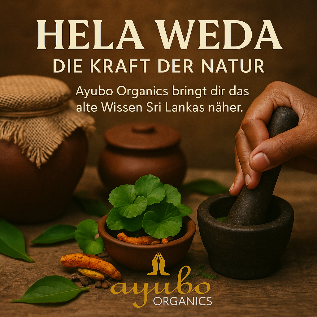 Ayurveda Kochkurs 69-2